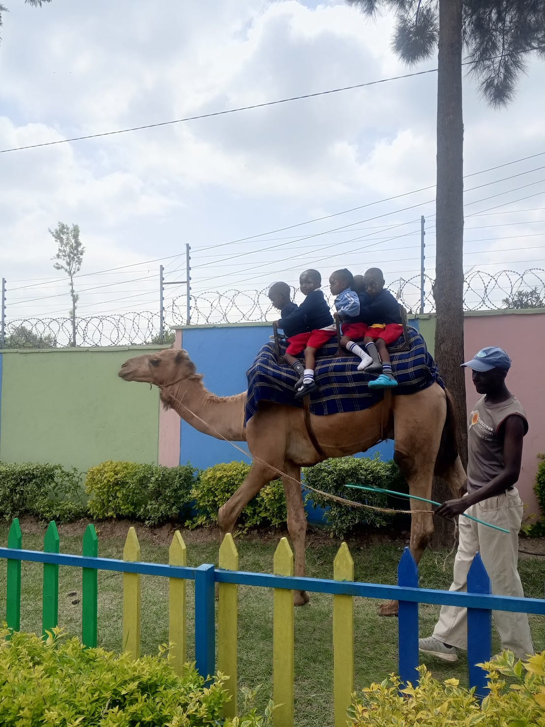 camel rides in nairobi