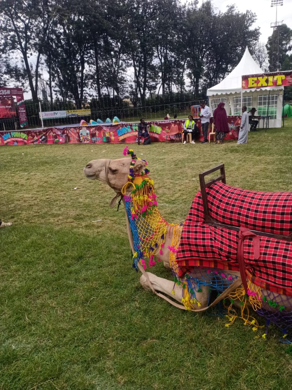 Camel Hire for NGO Events in Kenya