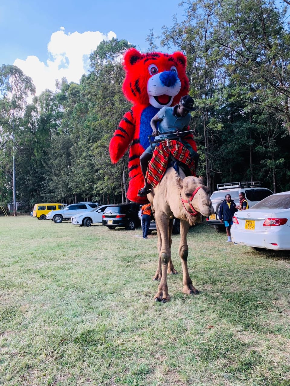 Camel Hire for Fun Days in Limuru