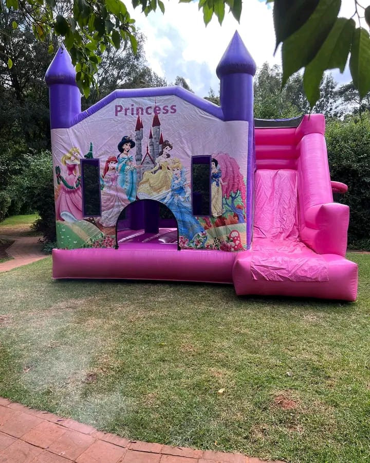 Bouncing castle for kids