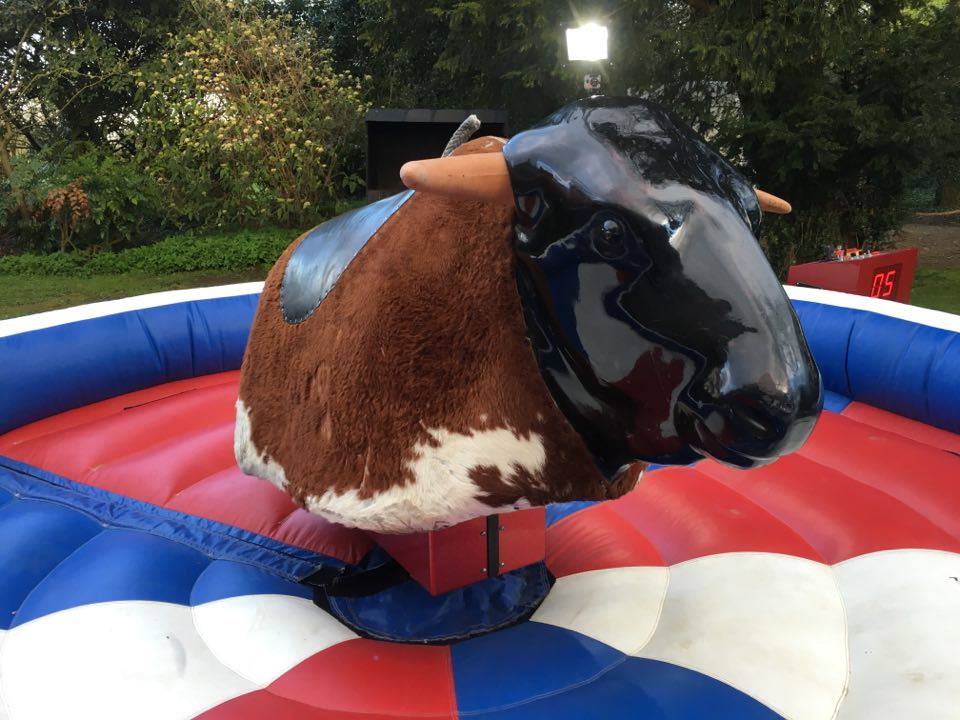 Rodeo Bull for Hire in Nairobi