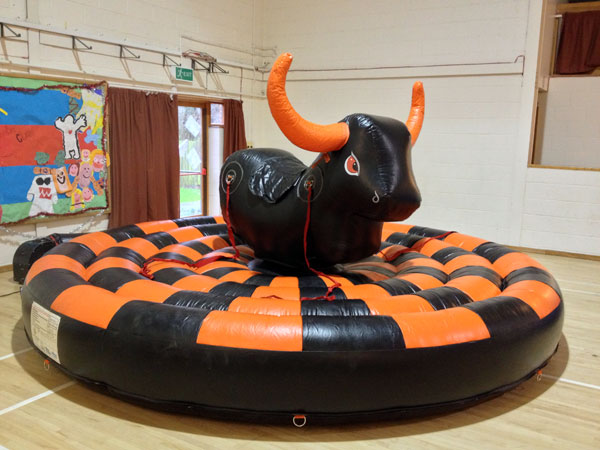 Rodeo Bull for Hire in Nairobi