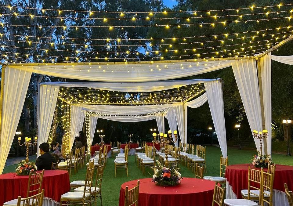 Fairy-Lights-Rental-in-Nairobi-Kenya