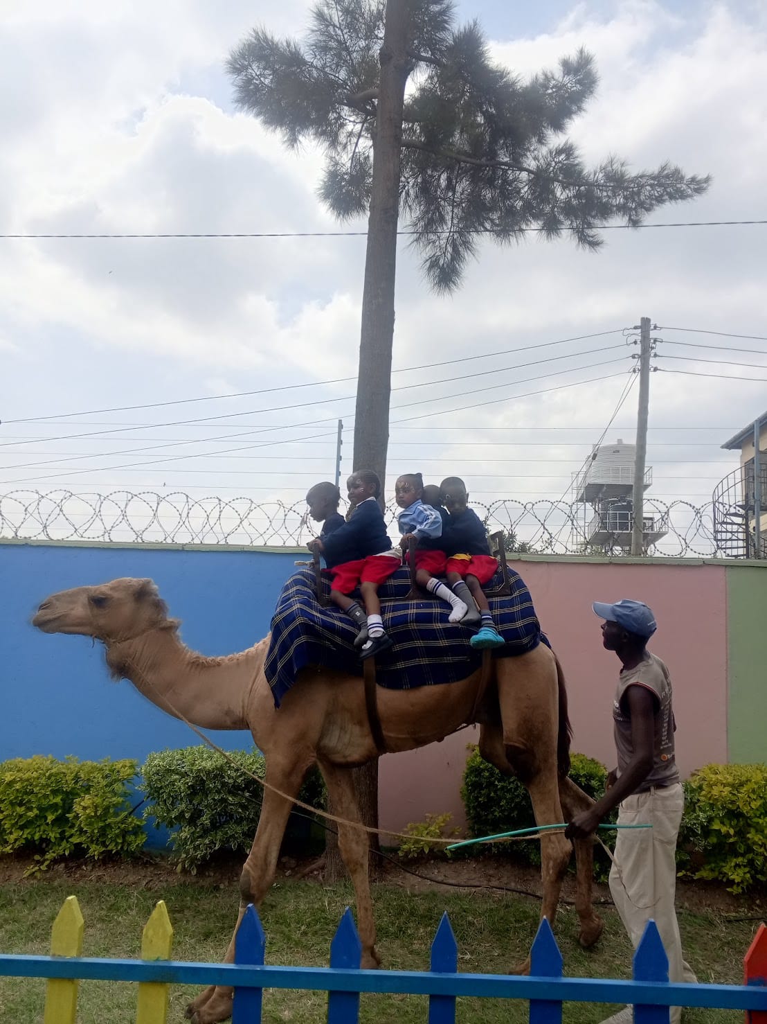 A camel carrying kids at school fun day at Josna Primary school