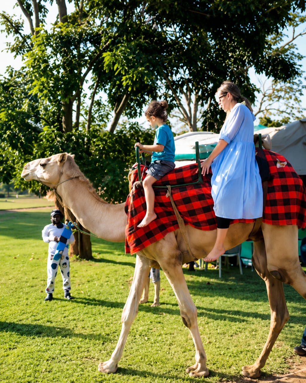 Camel Hire for Birthday Parties