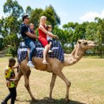 Camel Hire for International Visitors in Kenya